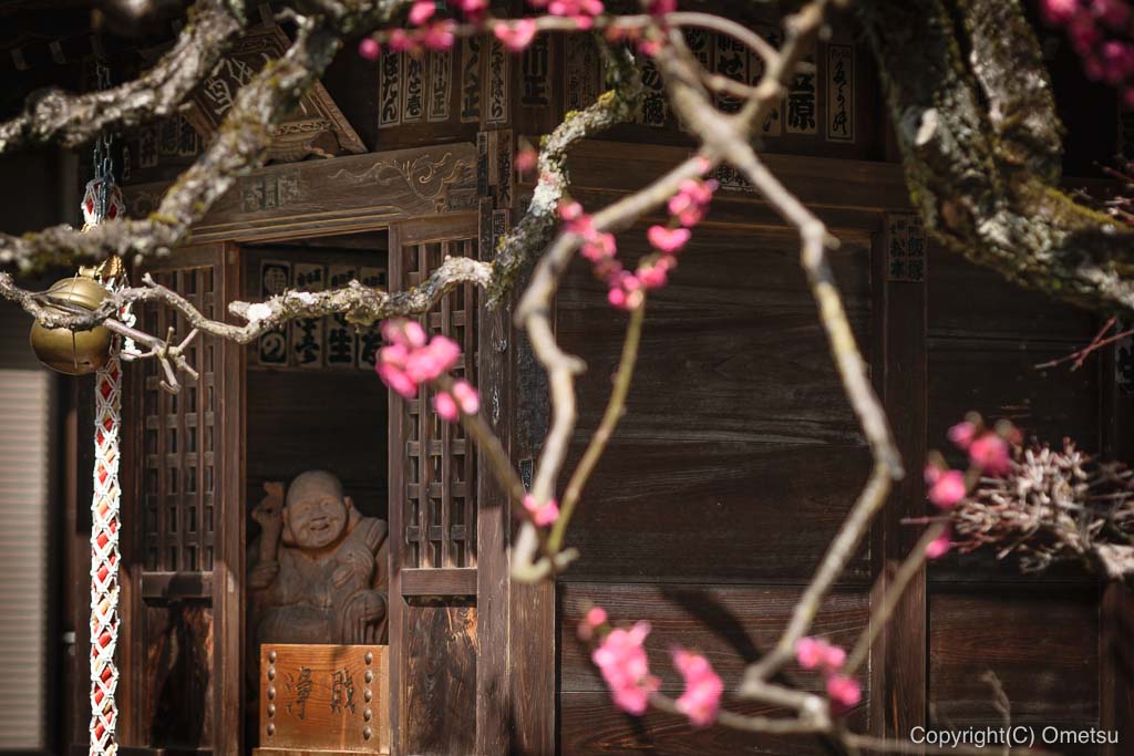 青梅・地蔵院の、七福神・布袋尊