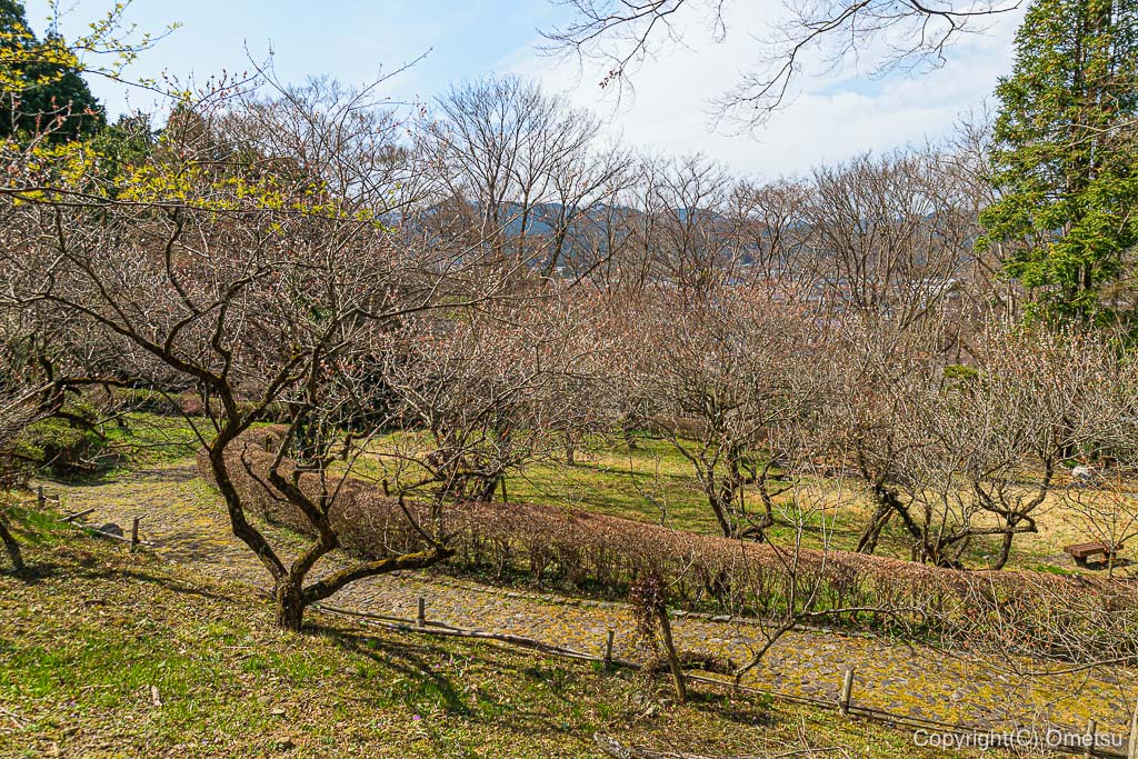 あきる野・高尾公園