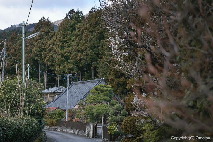 奥多摩町・寸庭地区の、光景