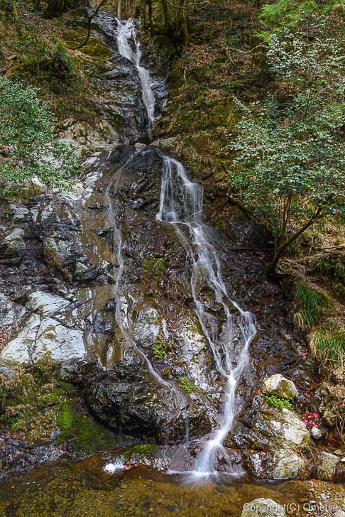 日の出山、白岩の滝