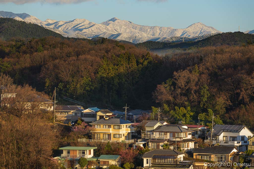 奥多摩の山・川苔山も、雪で真っ白