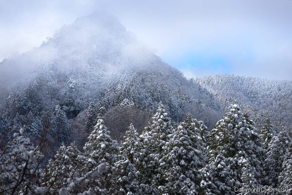 春なのに雪景色 なごり雪 を口ずさむ 御岳山 花散歩 おめ通