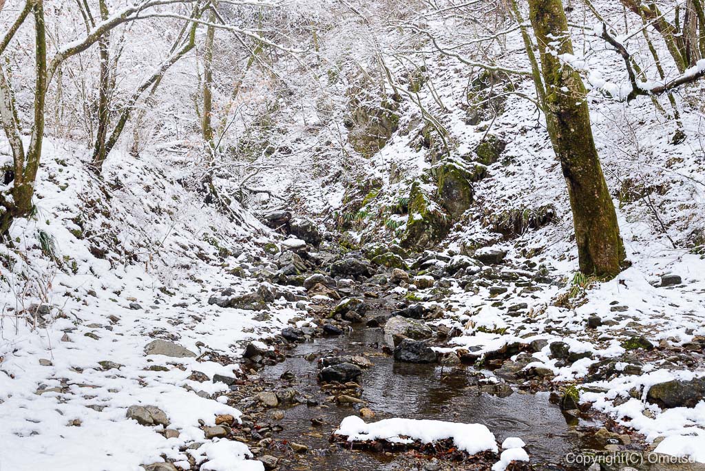 青梅市・御岳山、雪のロックガーデン