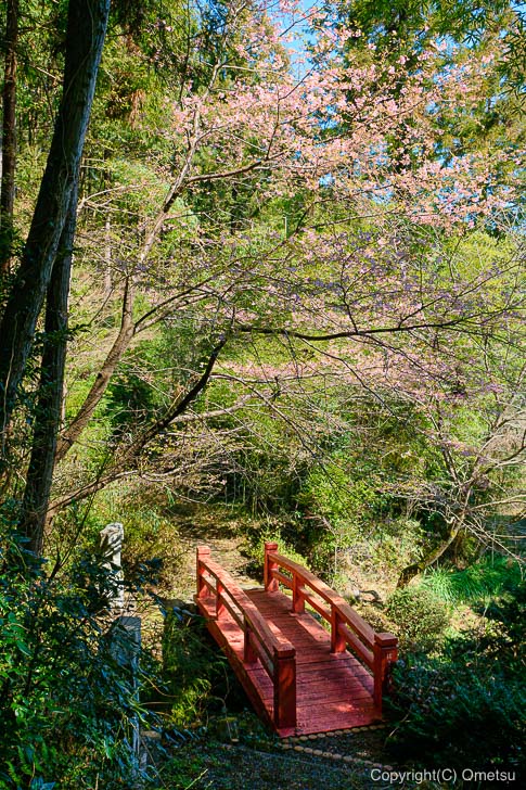 あきる野市・大悲願寺の、お遍路道の橋と花
