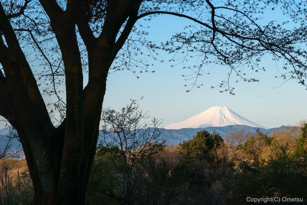 六道山公園・出会いの辻付近からの、富士山