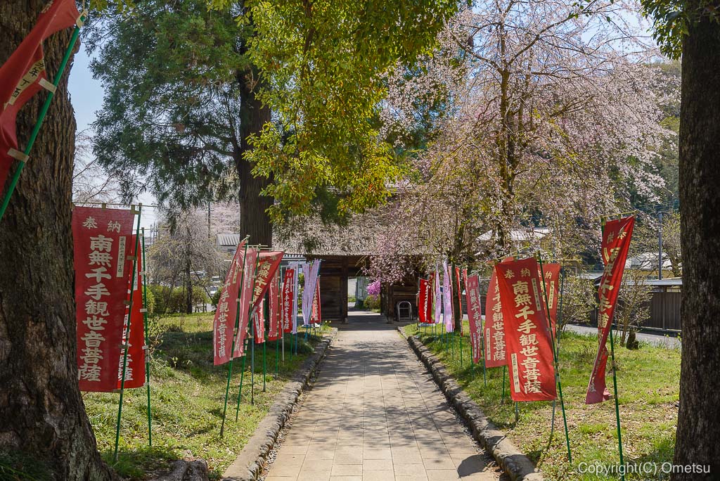 塩船観音寺の桜