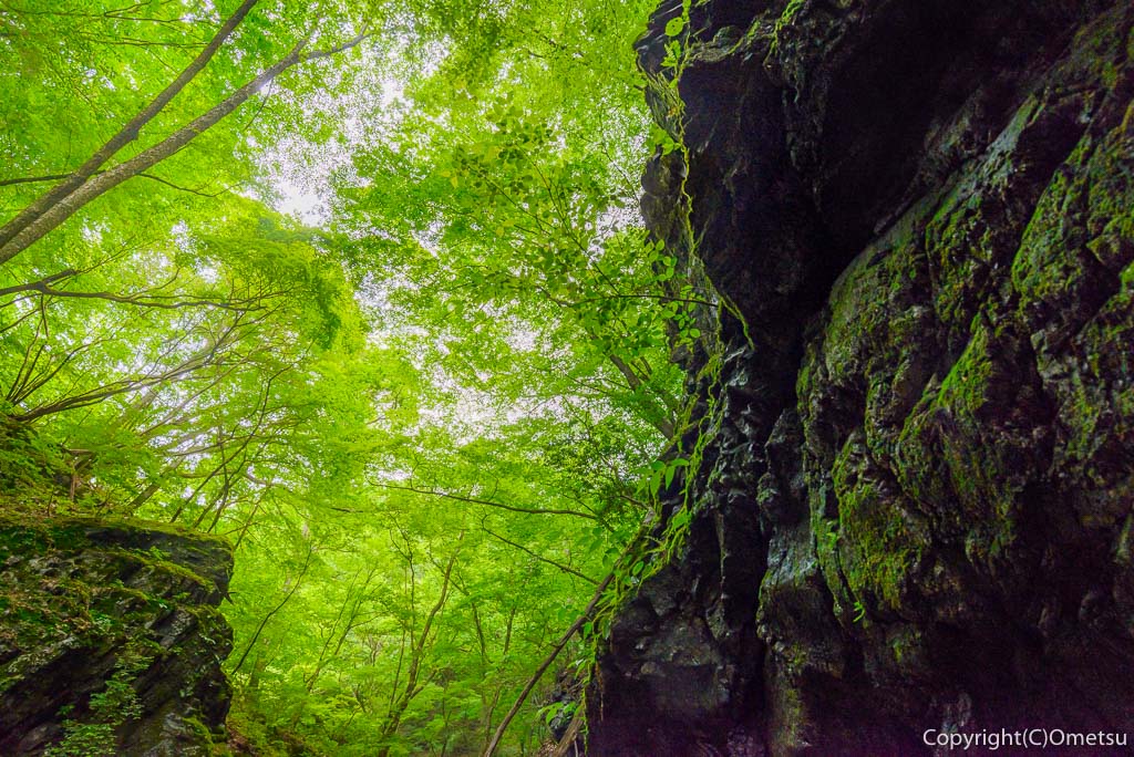 青梅・御岳山のロックガーデン
