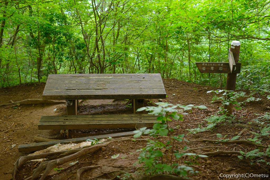棒ノ折山のベンチ