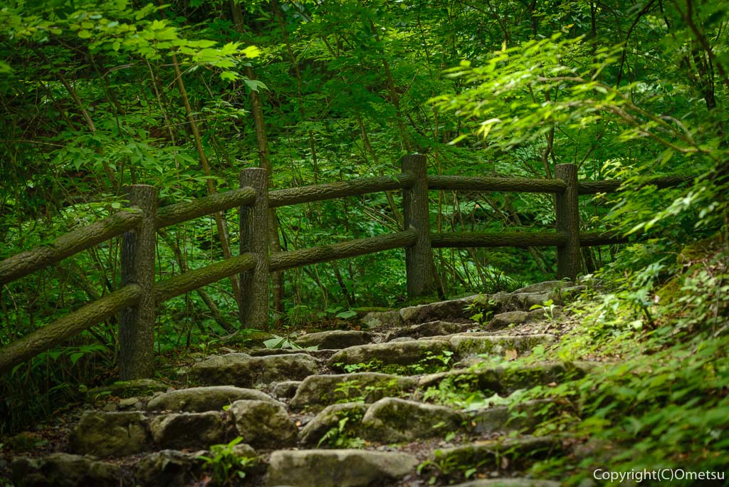 檜原村・三頭山の、登山道