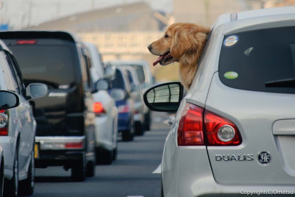 ほどいなかに住もう その7 程よい田舎では 車は必需品 それとも不必要 おめ通