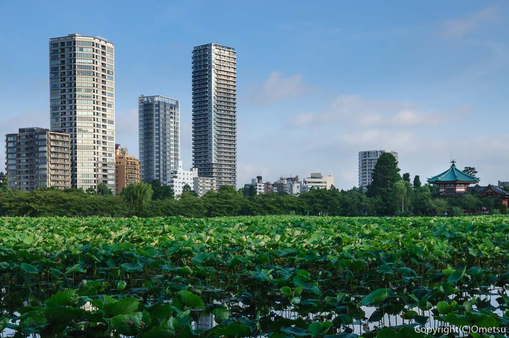 上野公園