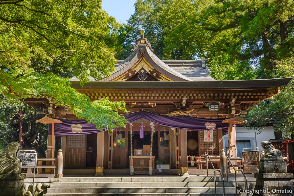 羽村市・武蔵阿蘇神社の本殿