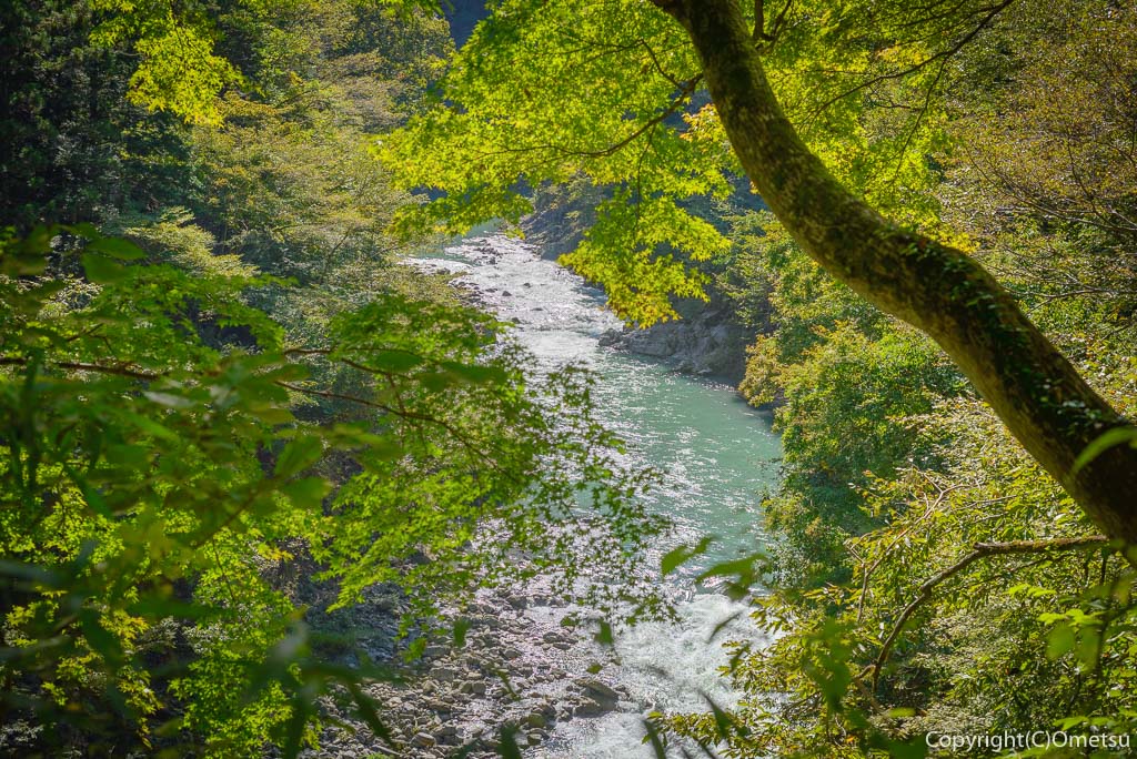 奥多摩むかし道から、多摩川を望む