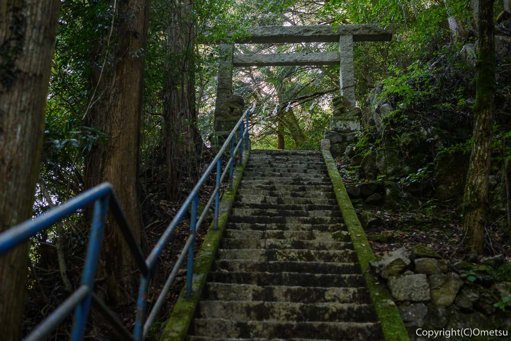 奥多摩むかし道の、白髭神社の石段