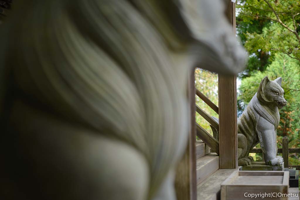 武蔵御嶽神社の大口真神社の狛犬