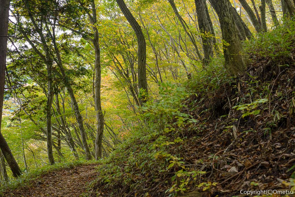 御岳山から大岳への山登山道