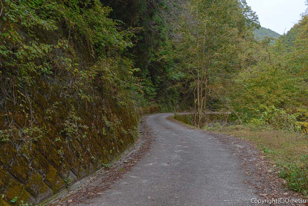 大岳沢の林道