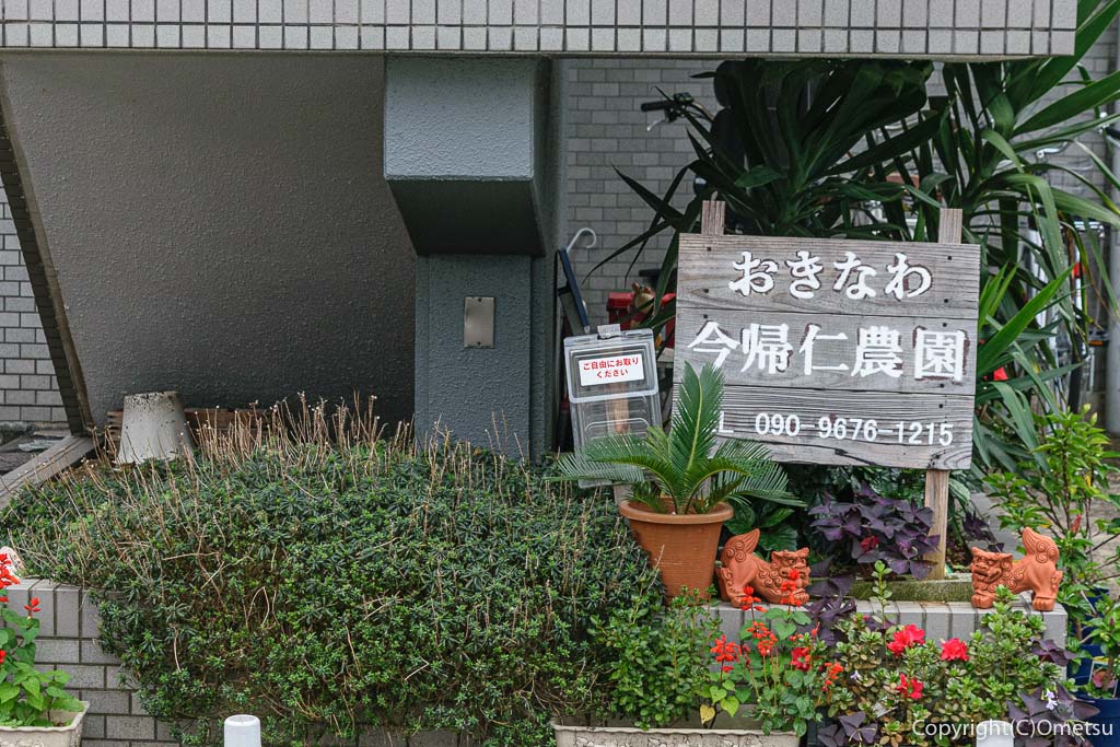 青梅市・河辺の沖縄料理店「おきなわ今帰仁農園」