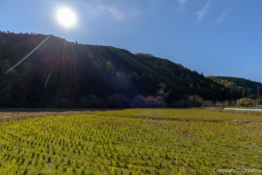 青梅市・成木の田園