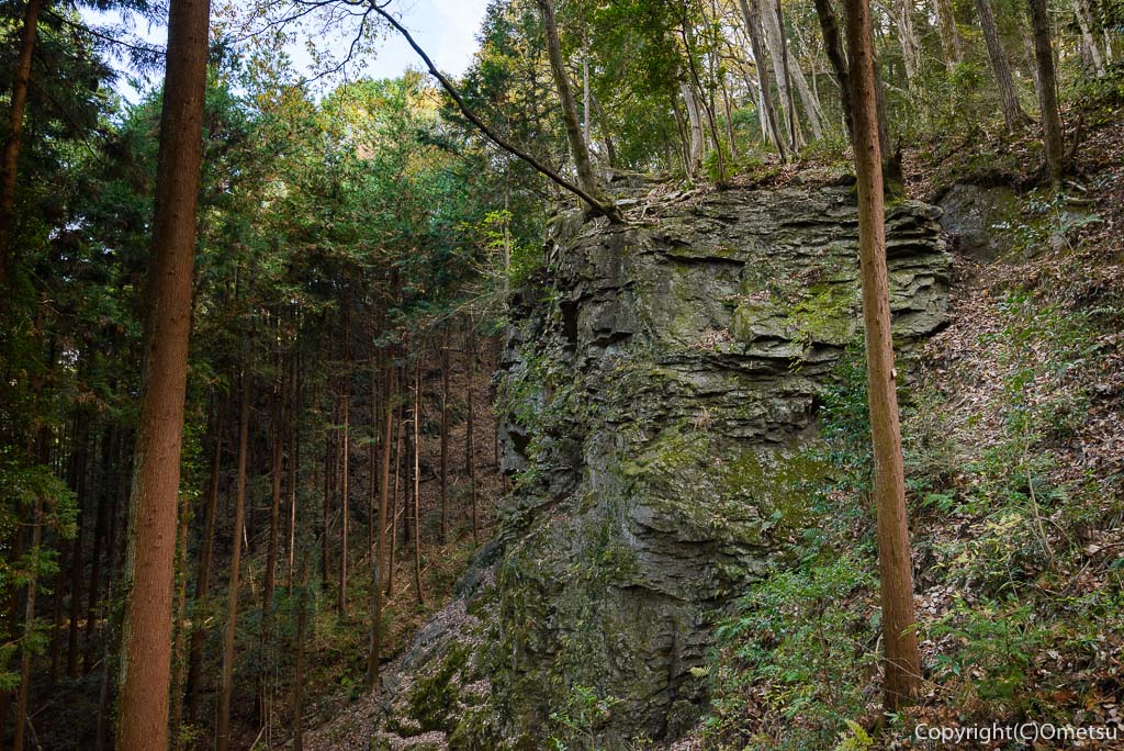 青梅中央アルプス・裏銀座の成木登山道の岩