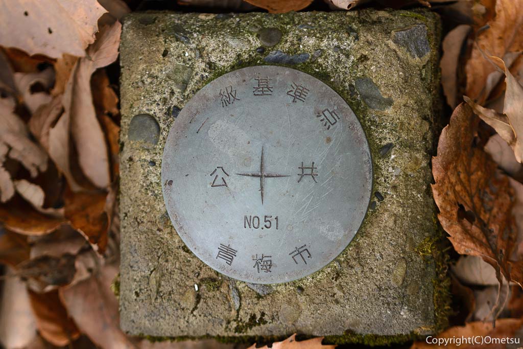 青梅中央アルプス・裏銀座の345m峰の第一高点(公共基準点)
