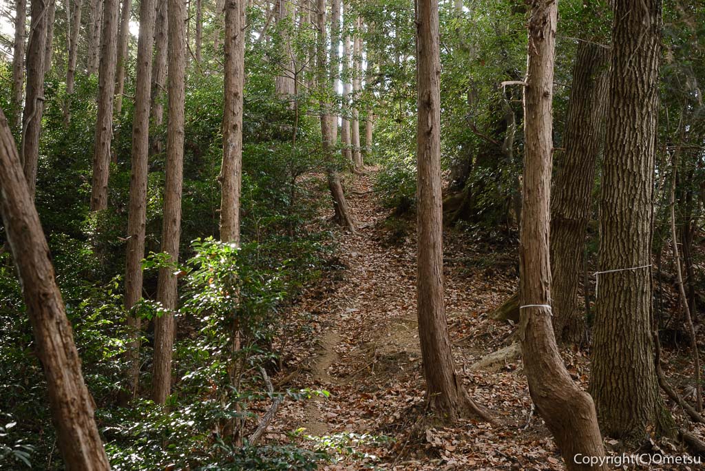 青梅中央アルプス・裏銀座の登山道