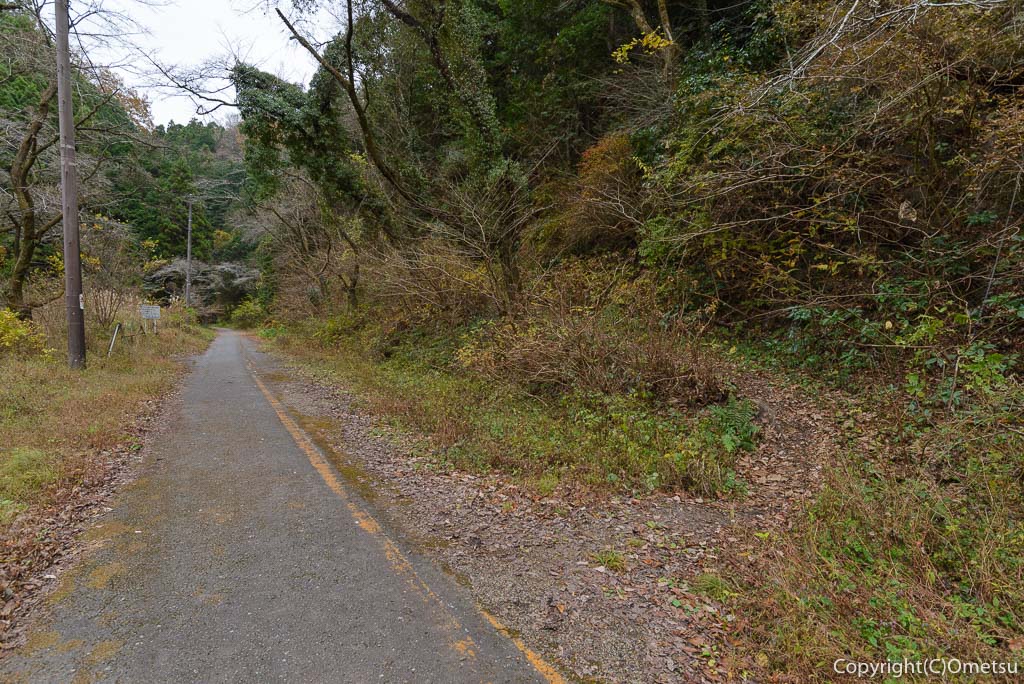 青梅市の、二代目・吹上トンネルへの道