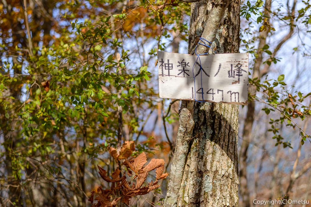 鶴峠〜三頭山の登山道の、神楽入ノ峰山頂
