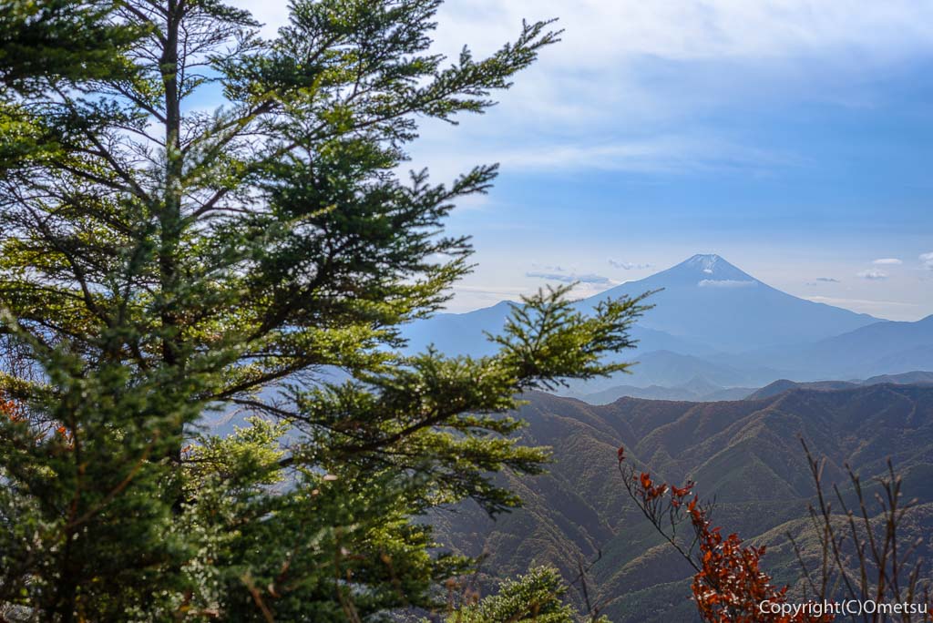 鶴峠〜三頭山の登山道からの富士山