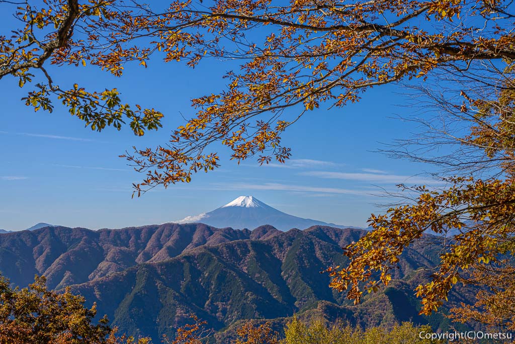 奥多摩の山からの、富士山
