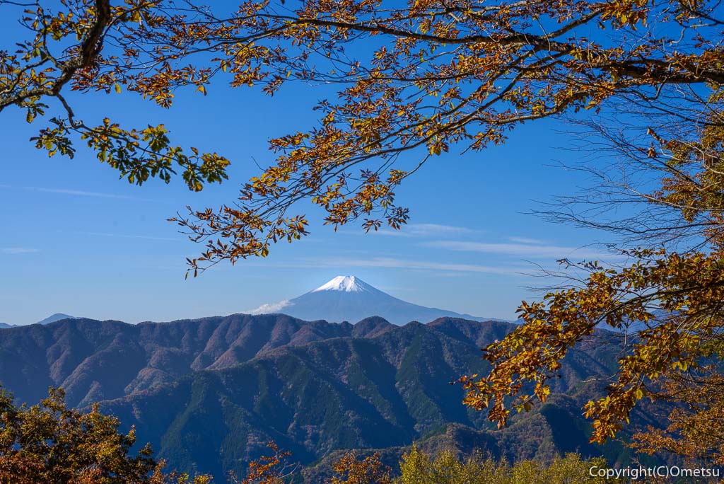 東京都・西多摩エリア・檜原村・槇寄山からの、富士山