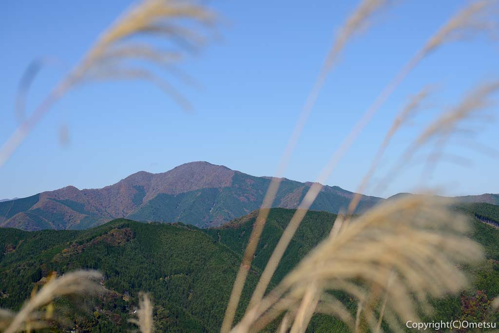笛吹峠登山道から大岳山