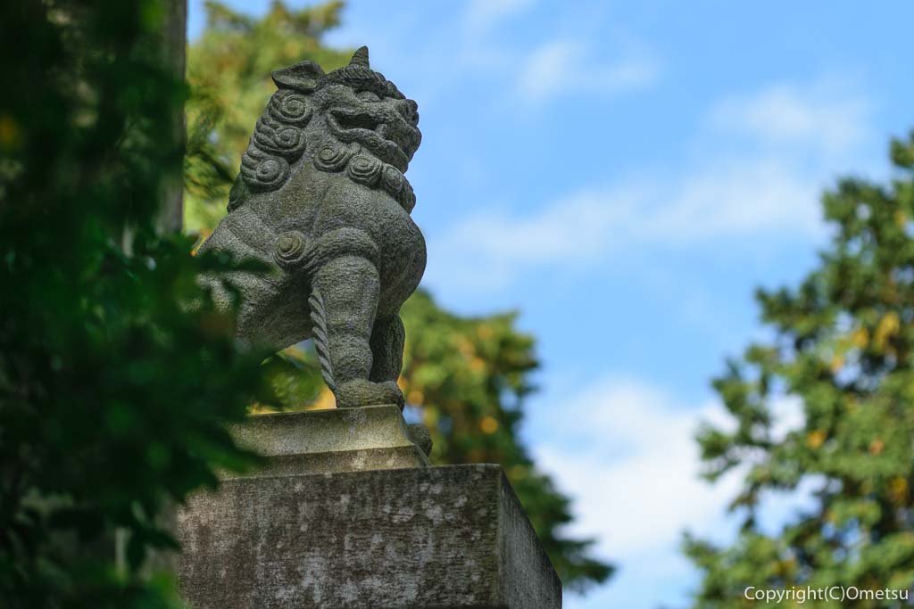 青梅市・勝沼神社の狛犬