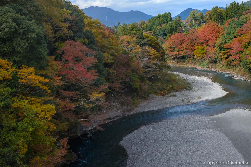 青梅市・和田橋からの紅葉