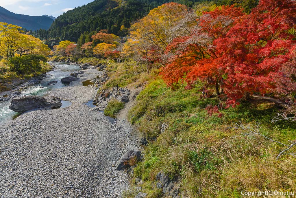 青梅市・御岳渓谷の、鵜の瀬橋からの紅葉