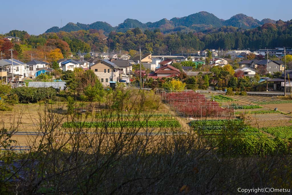 あきる野市・郊外の里山風景