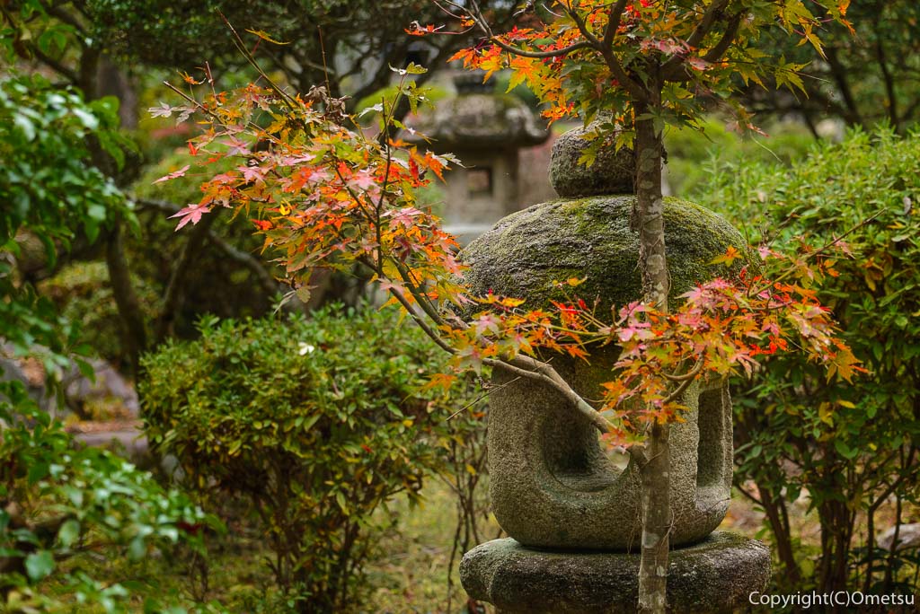 青梅・日向和田臨川庭園の石塔