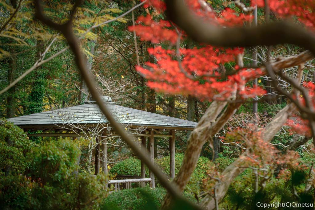 青梅・日向和田臨川庭園の東屋