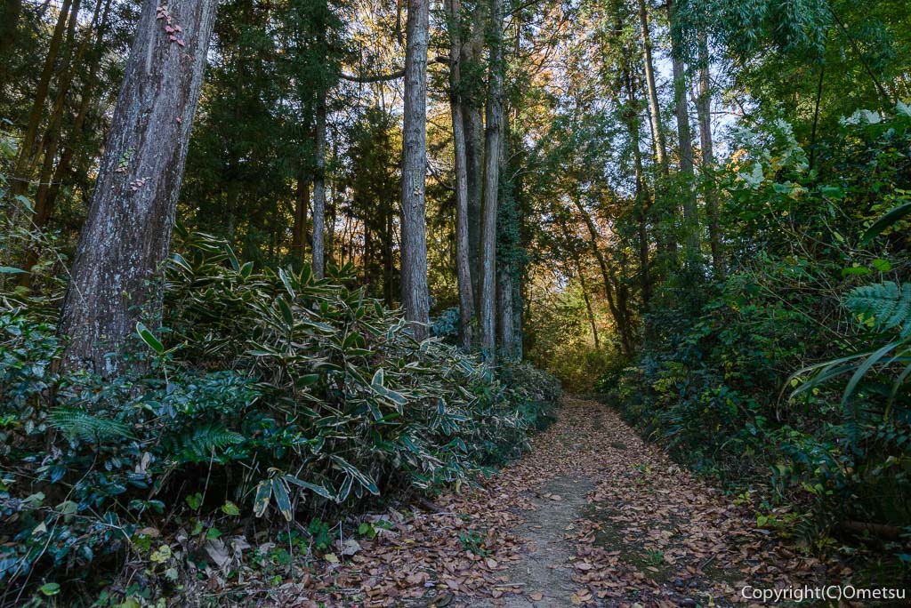 青梅。長渕の峠道