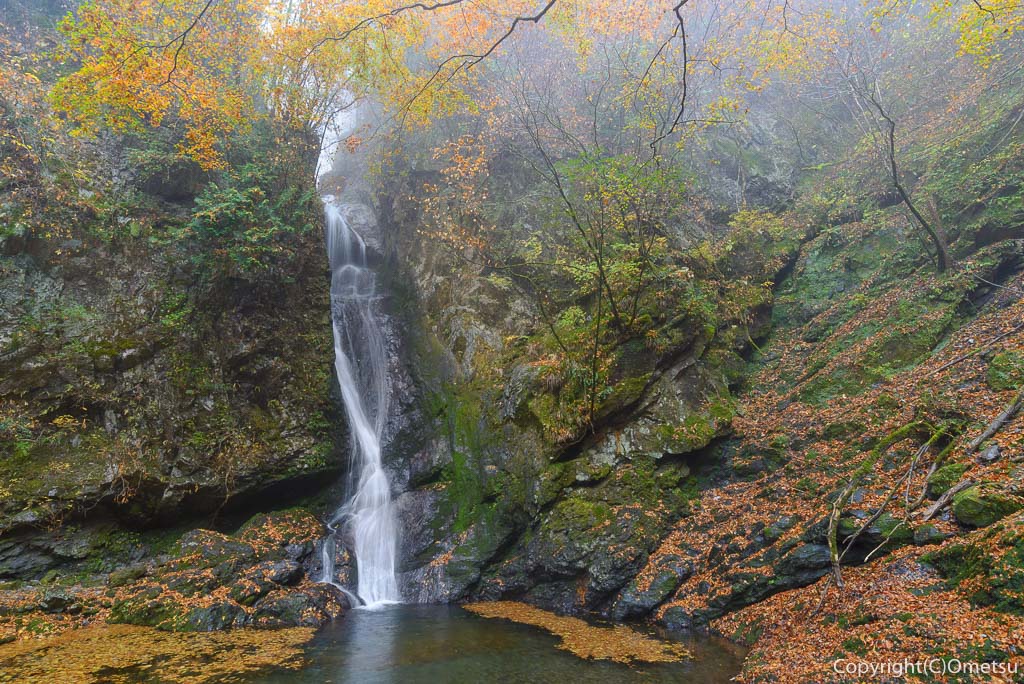 紅葉の海沢渓谷で ちょっとショッパイ 滝巡り おめ通