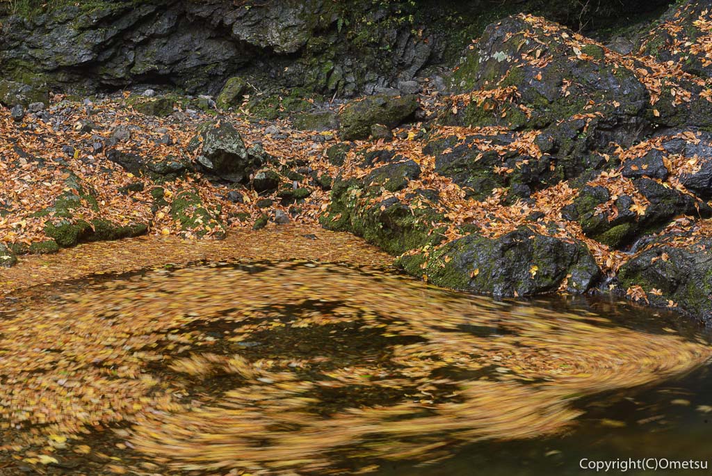 海沢渓谷・大滝の落ち葉の渦