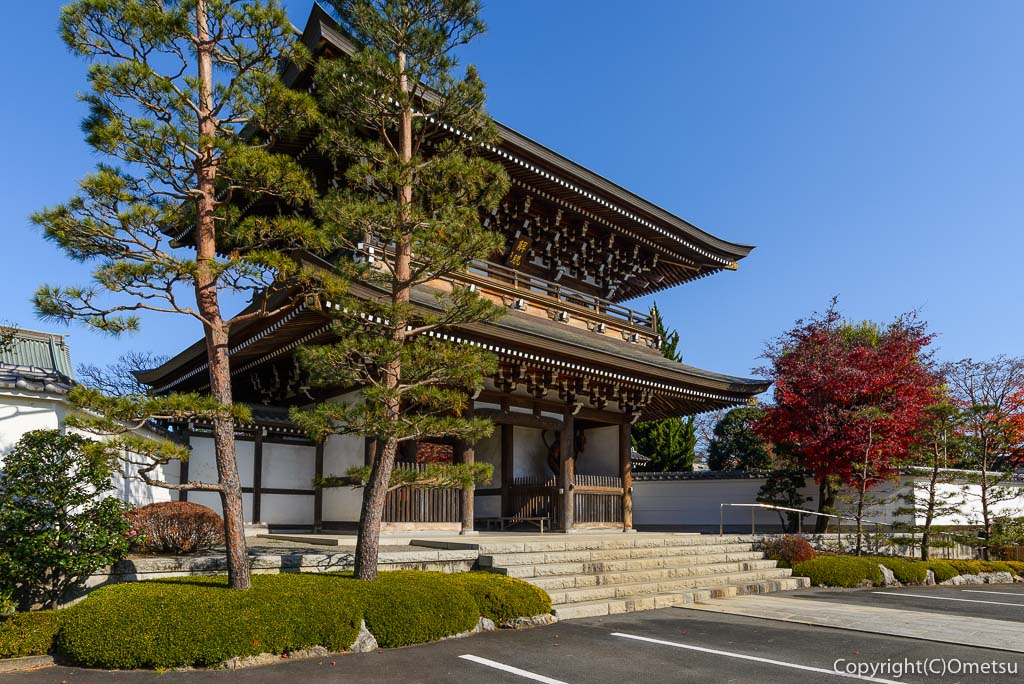瑞穂町・円福寺の三門