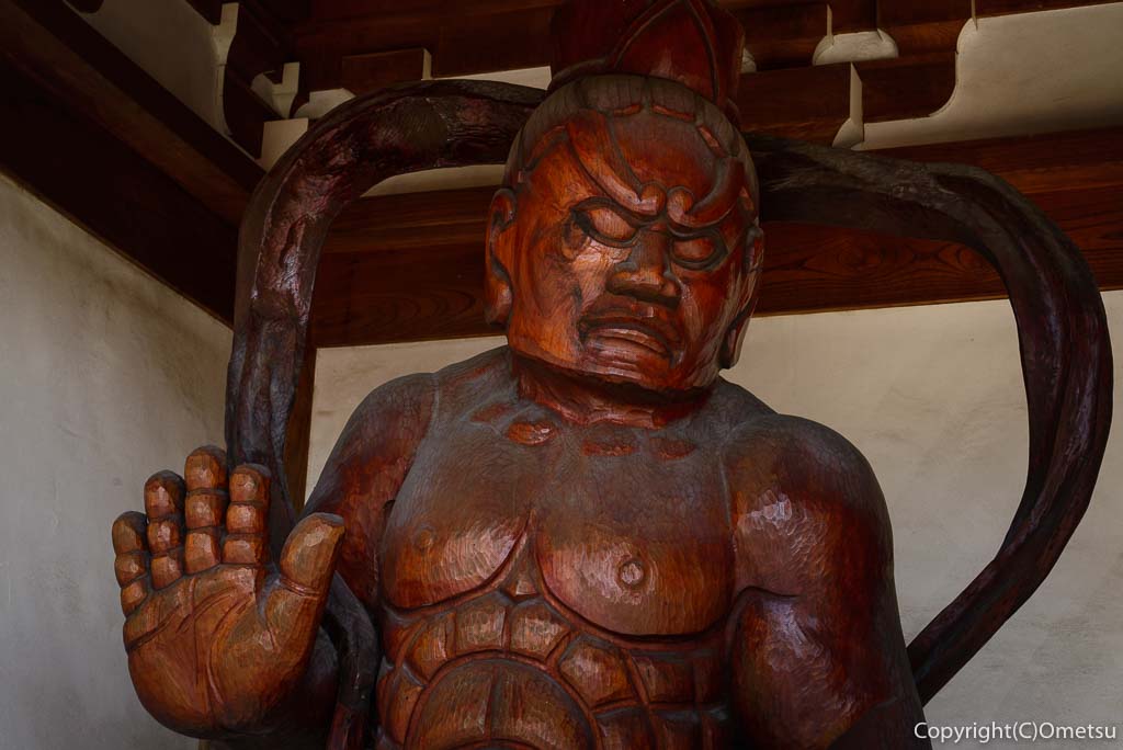 瑞穂町・円福寺の総門の仁王像