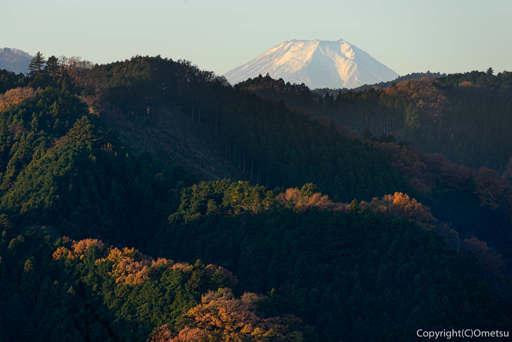 青梅市・永山公園からの富士山