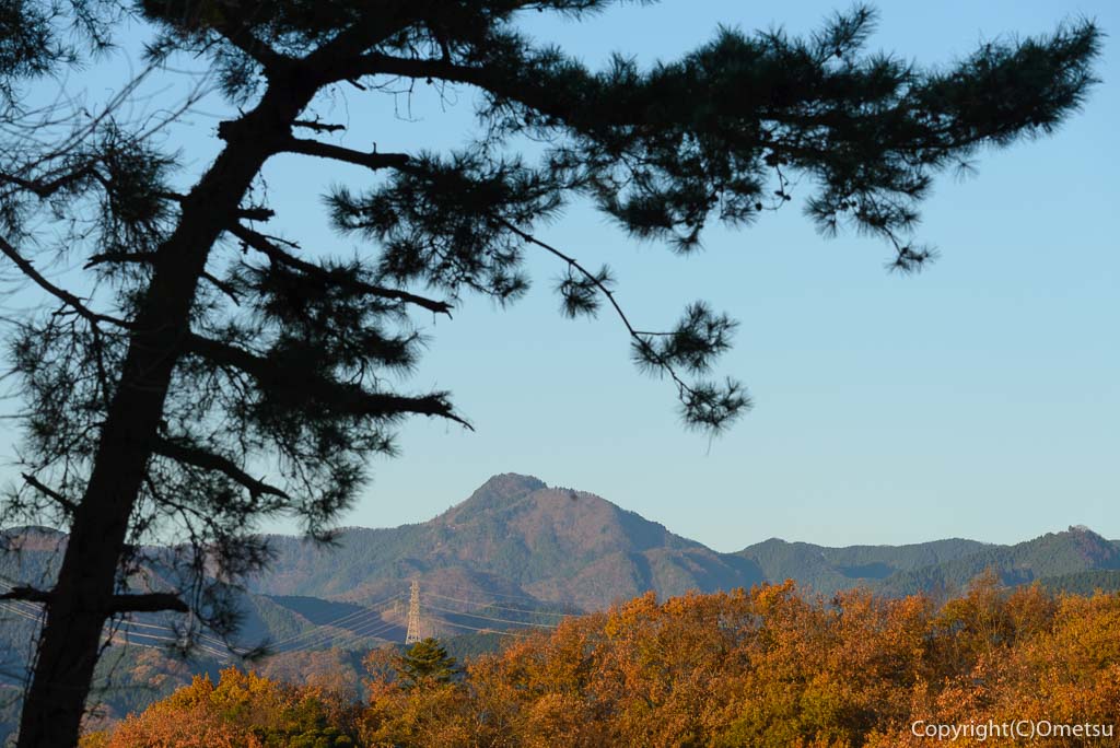 青梅市・永山公園からの、御岳山