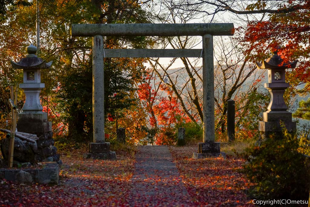 青梅駅・北側の丘陵の武州青梅・金毘羅神社の鳥居