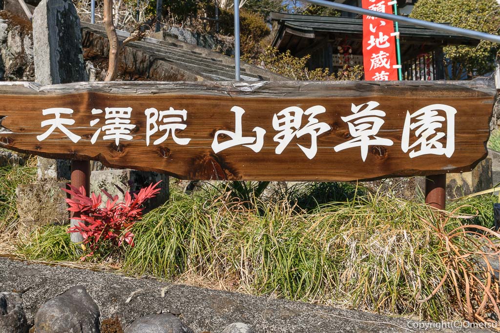 青梅市・梅郷の天澤院の山野草園の看板