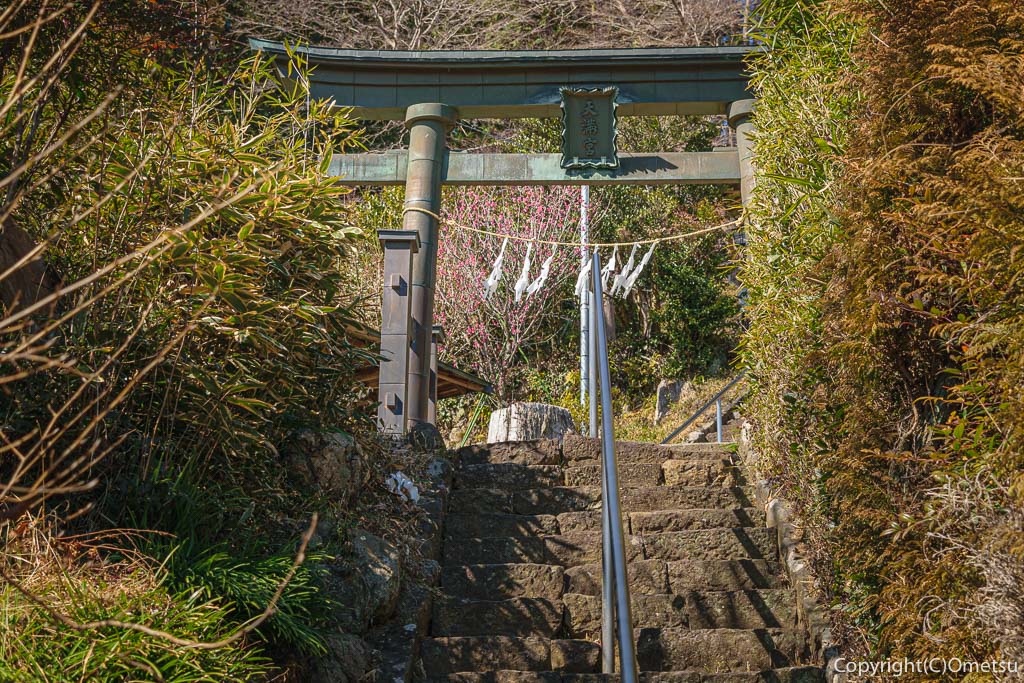 青梅市・梅郷の天澤院裏の神社