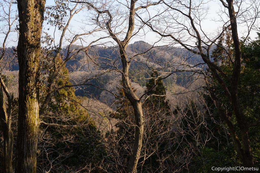 青梅・永山丘陵の里山風景