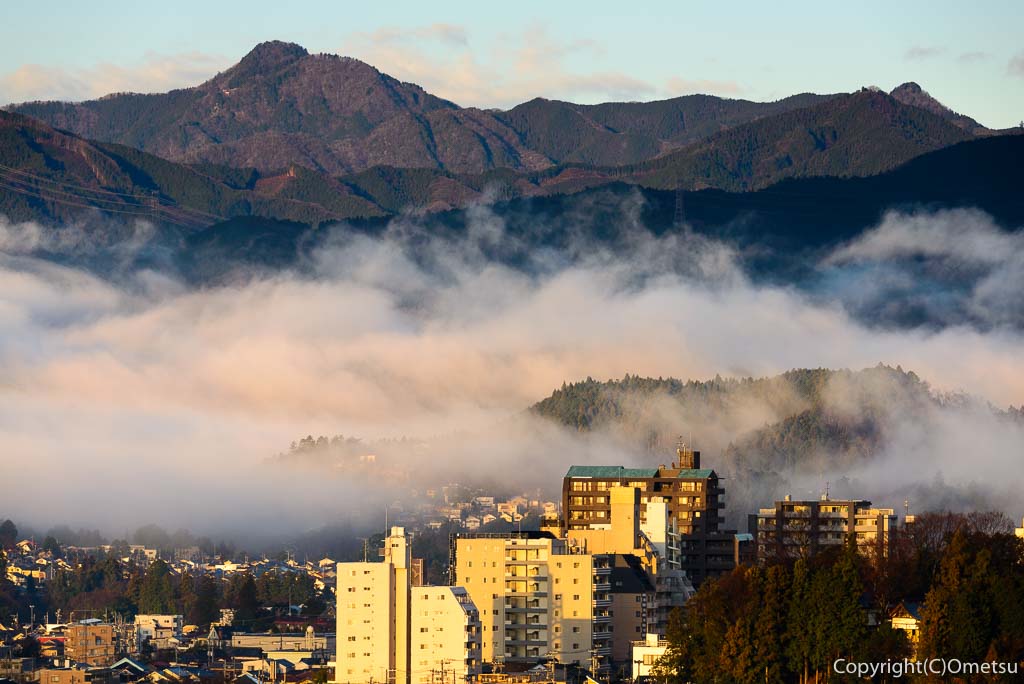 青梅市の朝霧